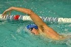 Swimming vs Bentley  Wheaton College Swimming & Diving vs Bentley College. - Photo by Keith Nordstrom : Wheaton, Swimming & Diving